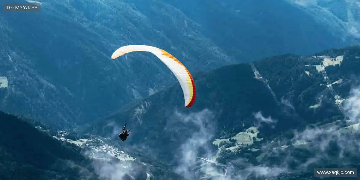 📺 一键直击,赛事瞬间零时差!