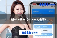 超nice的中（nice中文名字）